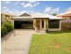 19 Congo Circuit, Springfield QLD 4300
