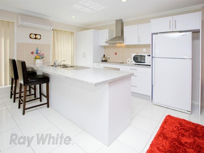 13 Dianella Street, Springfield Lakes QLD 4300