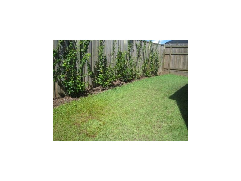 8 Parkview Drive, Springfield Lakes QLD 4300