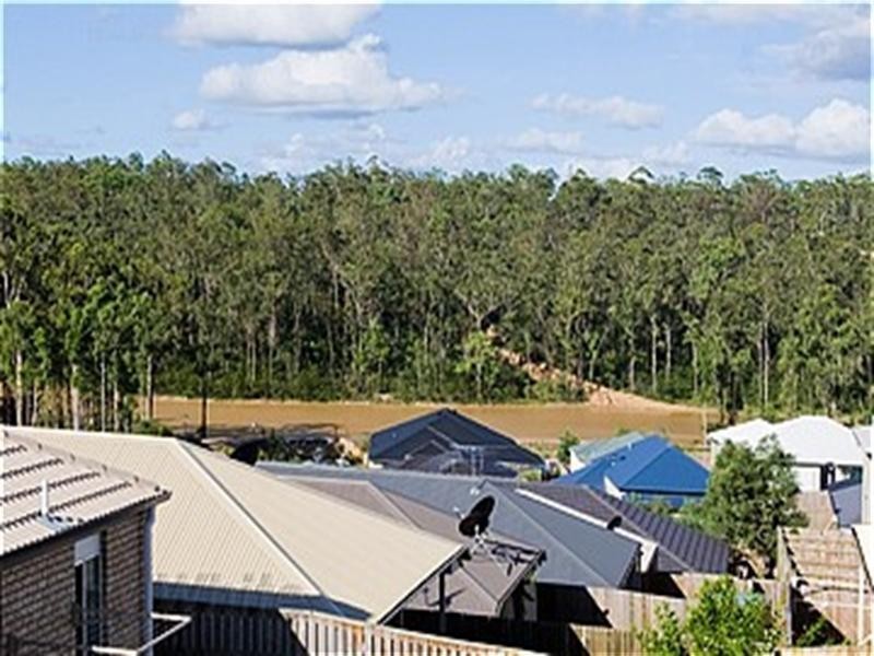 On Treeview Lane, Springfield Lakes QLD 4300