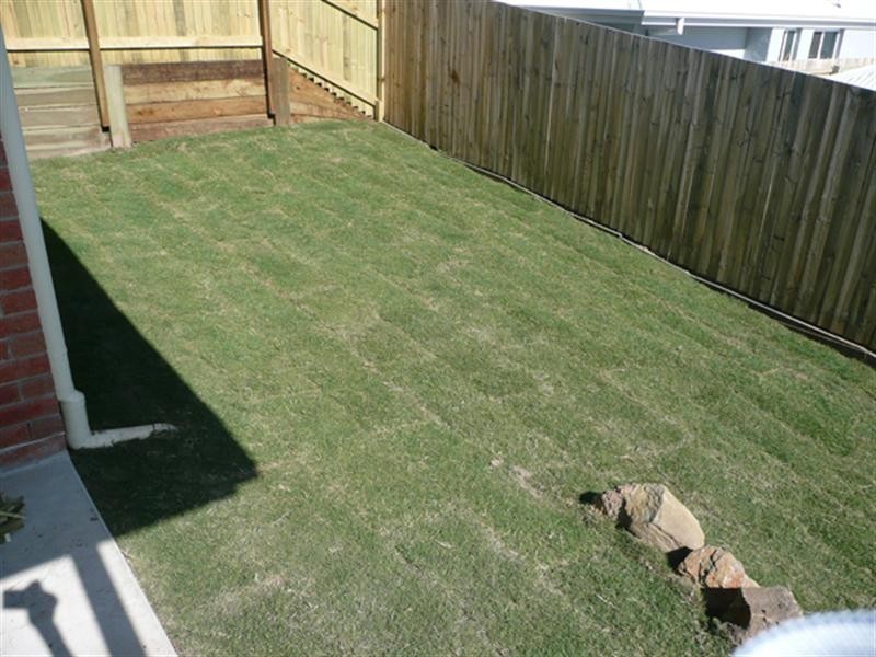 4 Clearpoint Way, Springfield Lakes QLD 4300