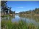 1 Wharf Court, Springfield Lakes QLD 4300