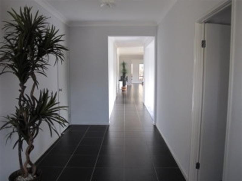 On Coolibah Close, Springfield Lakes QLD 4300