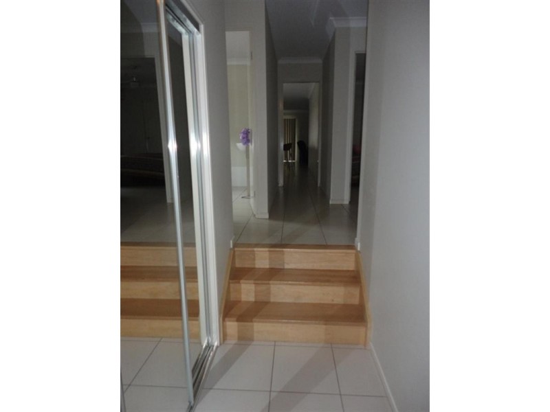 3 Daintree Place, Springfield Lakes QLD 4300