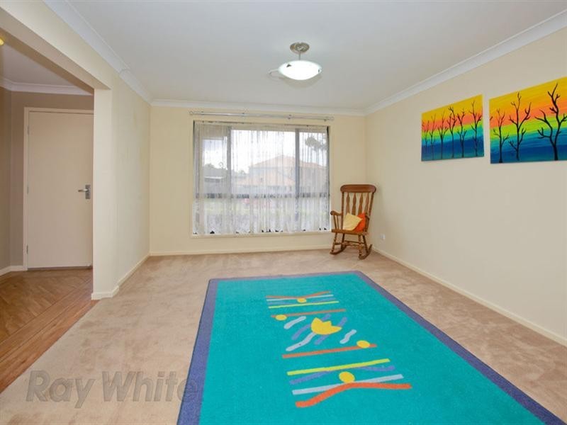 Springfield Lakes QLD 4300