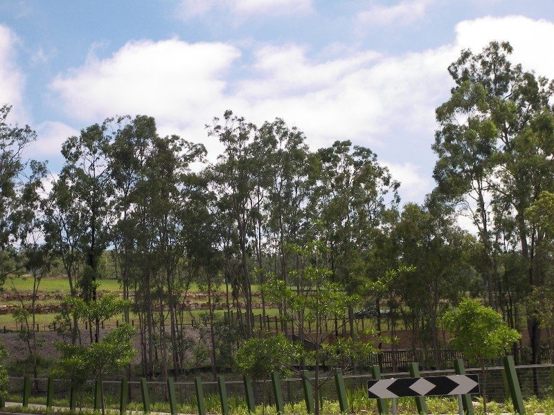 Bellbird Park QLD 4300