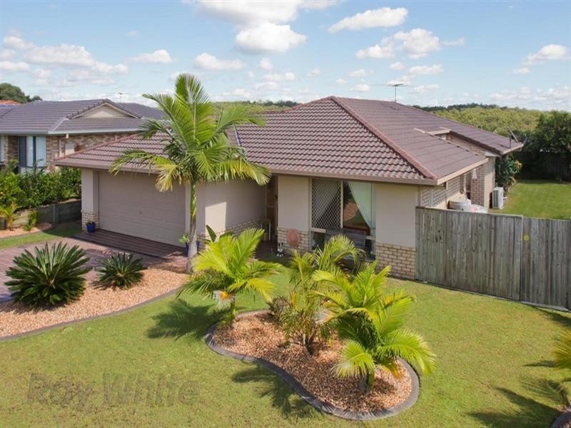 11 Bidford Street, Springfield QLD 4300