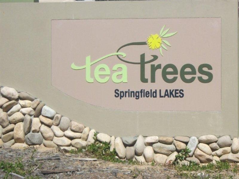 41 Caraway Street, Springfield Lakes QLD 4300