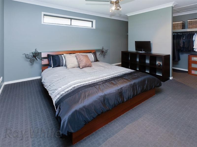 Springfield QLD 4300