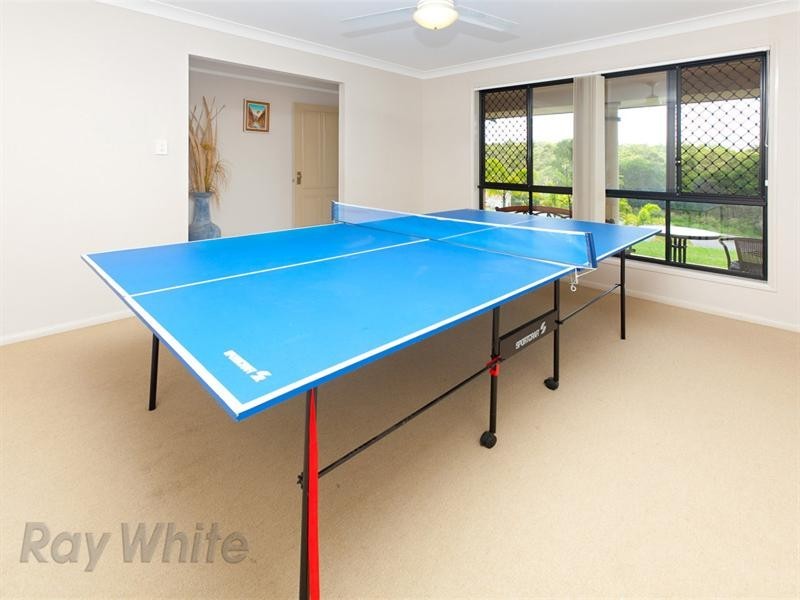 6 Gumleaf Place, Springfield QLD 4300