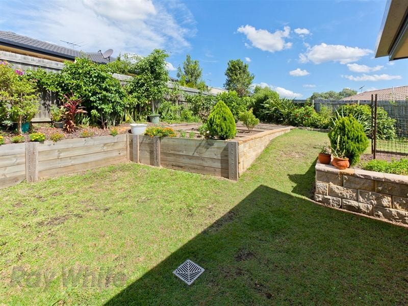 6 Gumleaf Place, Springfield QLD 4300