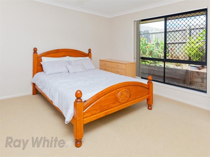 6 Gumleaf Place, Springfield QLD 4300