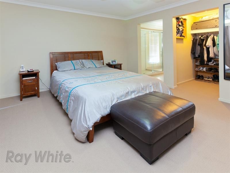 13 Speckled Circuit, Springfield Lakes QLD 4300