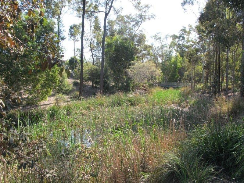 29 Burlington Terrace, Springfield Lakes QLD 4300