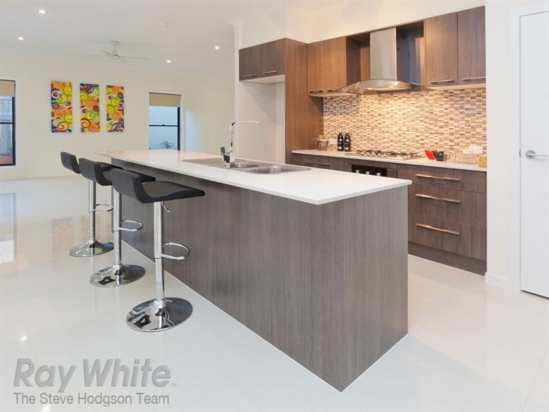 45 Riverine Drive, Springfield Lakes QLD 4300