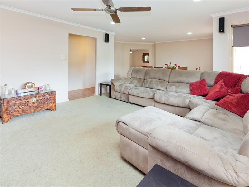 3 Cosmos Street, Springfield QLD 4300