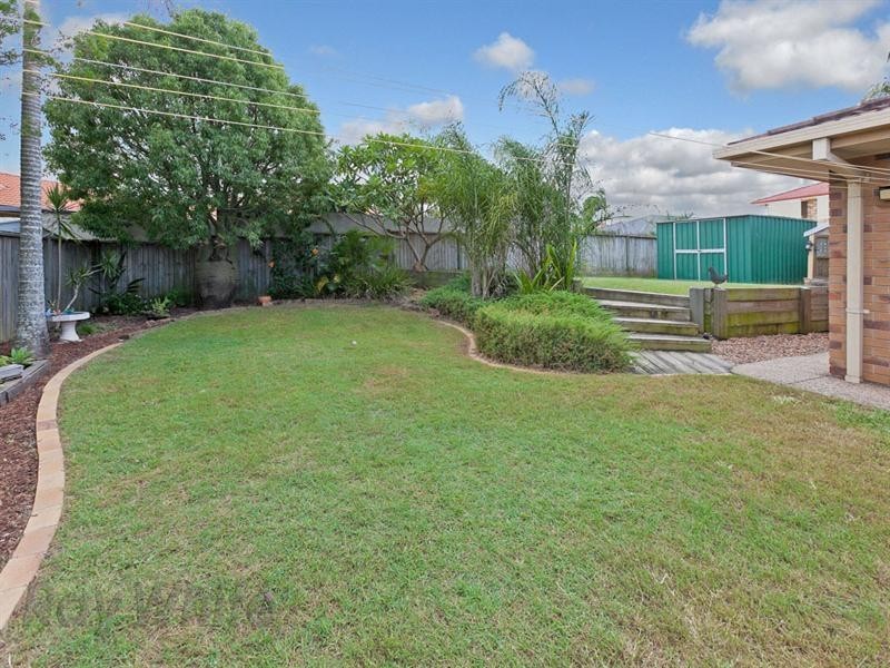 3 Cosmos Street, Springfield QLD 4300