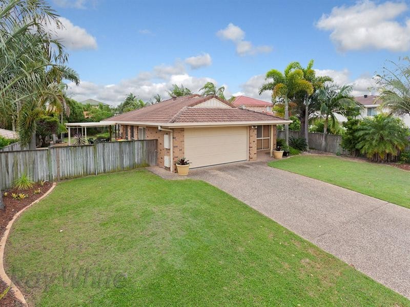 3 Cosmos Street, Springfield QLD 4300