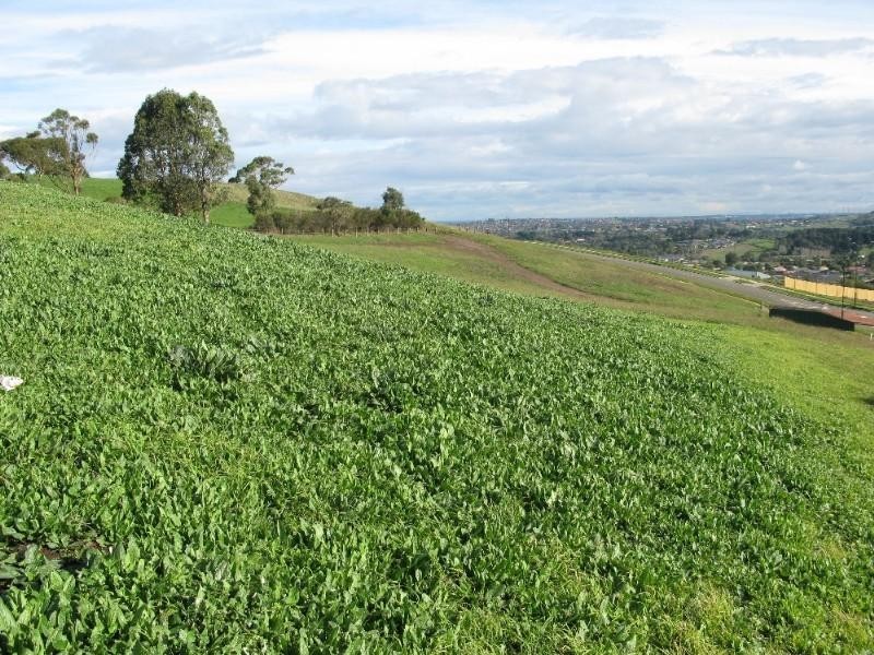 97 Brundrett Road, Narre Warren North VIC 3804