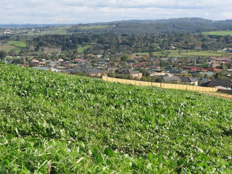 97 Brundrett Road, Narre Warren North VIC 3804