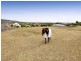 61 Grange Drive, Lysterfield VIC 3156