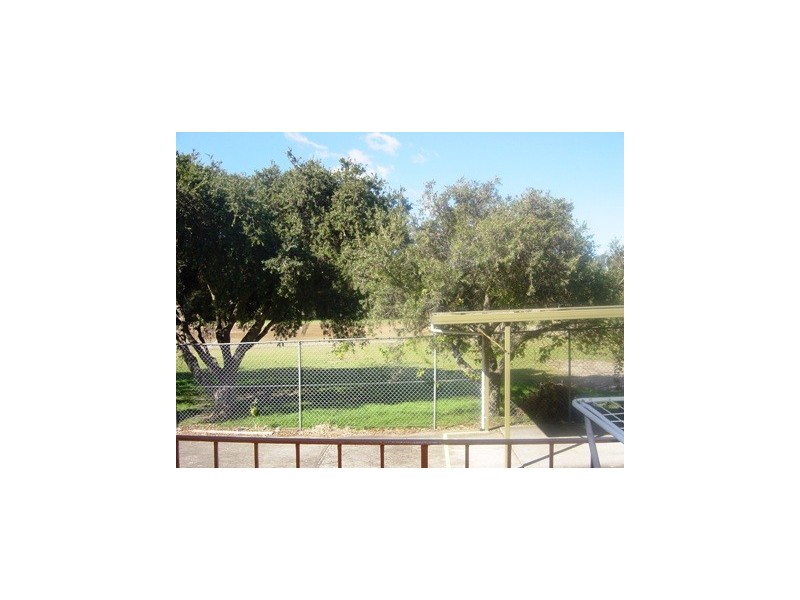 3/16 Grafton Crescent, Dee Why NSW 2099