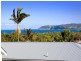 35 Pitt Road, North Curl Curl NSW 2099