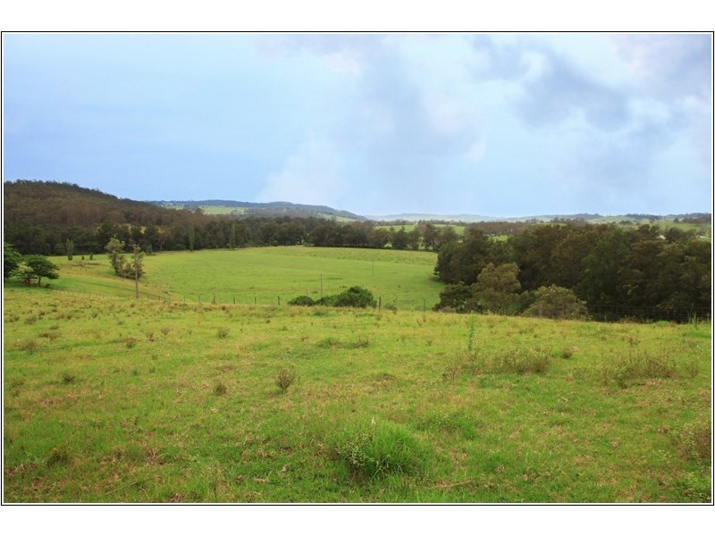 125 Minnamurra Falls Road, Jamberoo NSW 2533