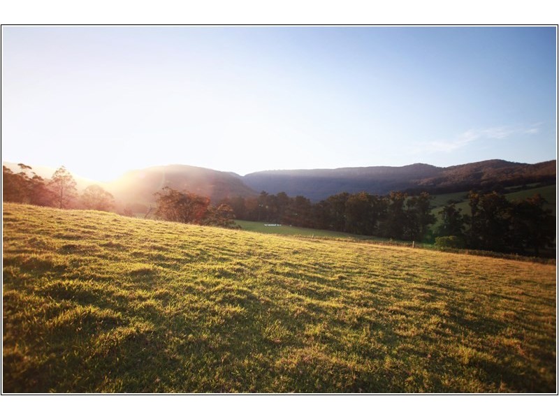 125 Minnamurra Falls Road, Jamberoo NSW 2533