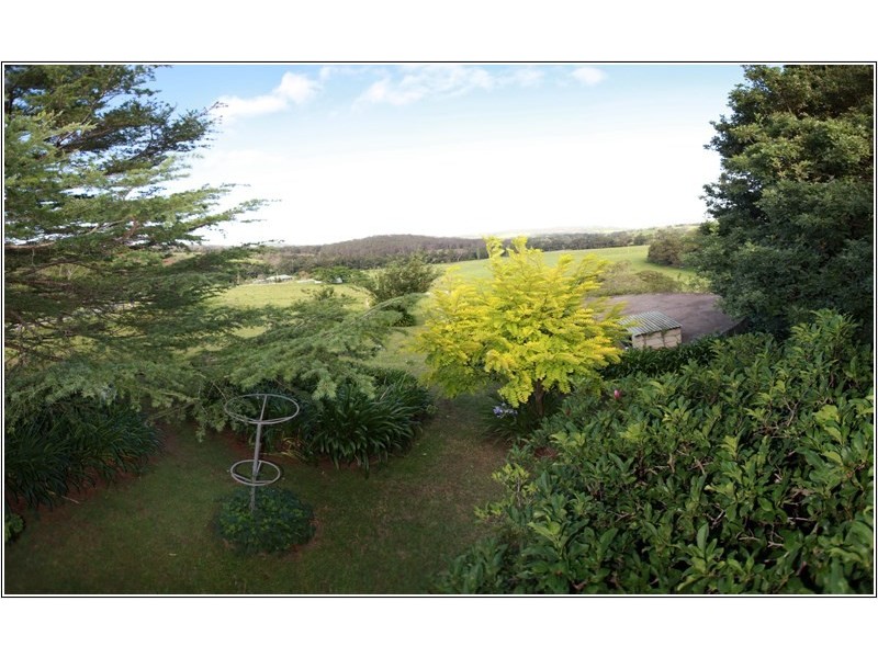 125 Minnamurra Falls Road, Jamberoo NSW 2533