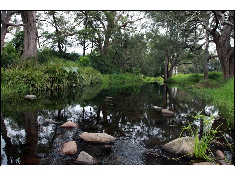 125 Minnamurra Falls Road, Jamberoo NSW 2533