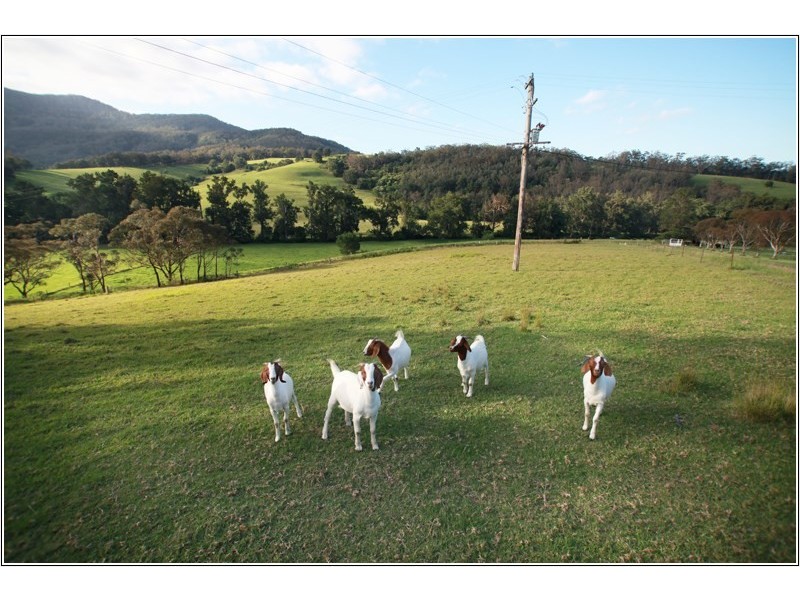 125 Minnamurra Falls Road, Jamberoo NSW 2533