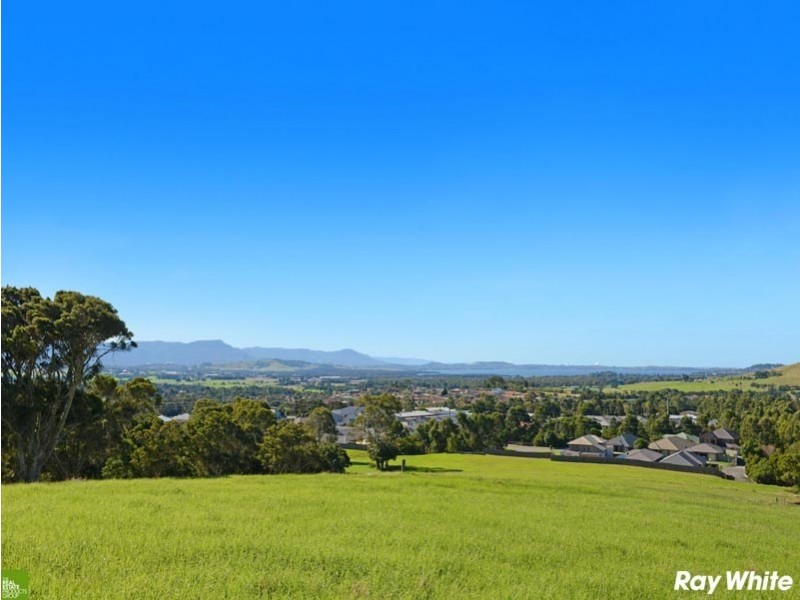 170 Daintree Drive, Albion Park NSW 2527