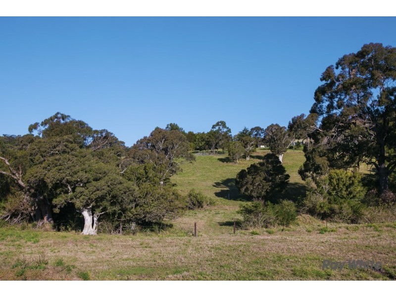 Mount Terry Estate, Albion Park NSW 2527