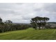 Mount Terry Estate, Albion Park NSW 2527