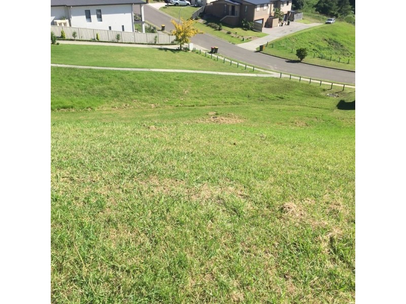 58 Whimbrel Avenue, Lake Heights NSW 2502