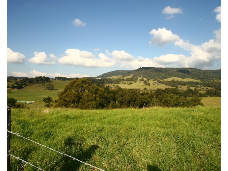 41 Tullimbar Lane, Albion Park NSW 2527