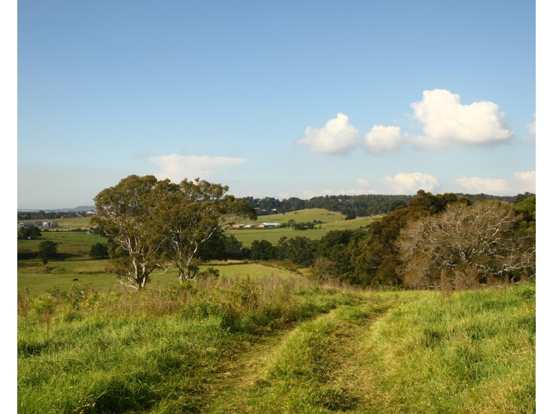 41 Tullimbar Lane, Albion Park NSW 2527