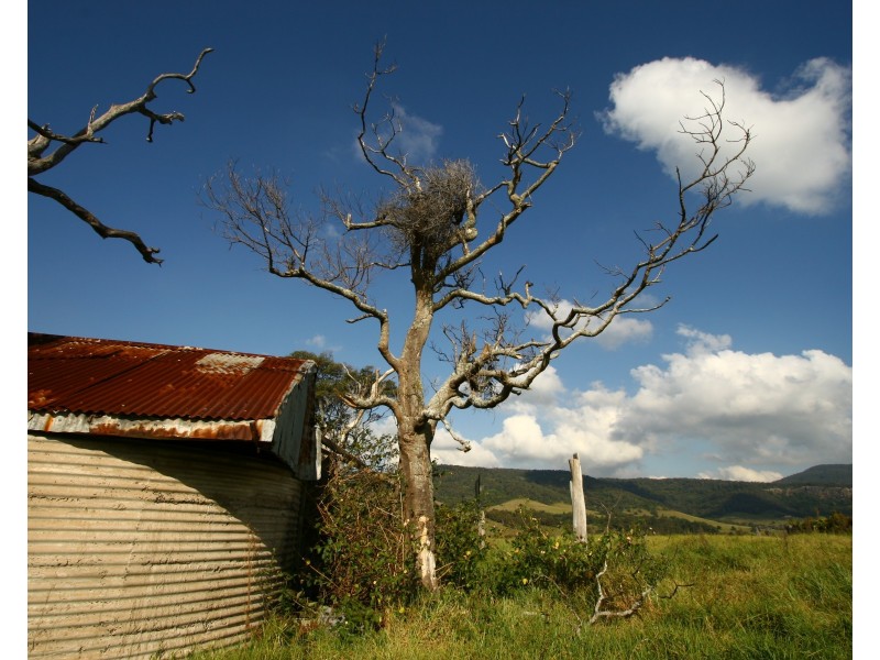 41 Tullimbar Lane, Albion Park NSW 2527