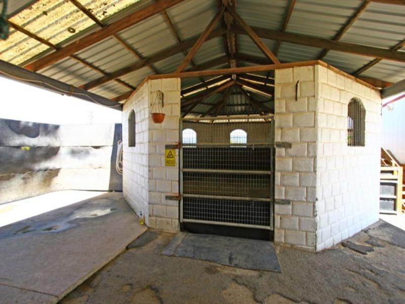 Kembla Grange NSW 2526