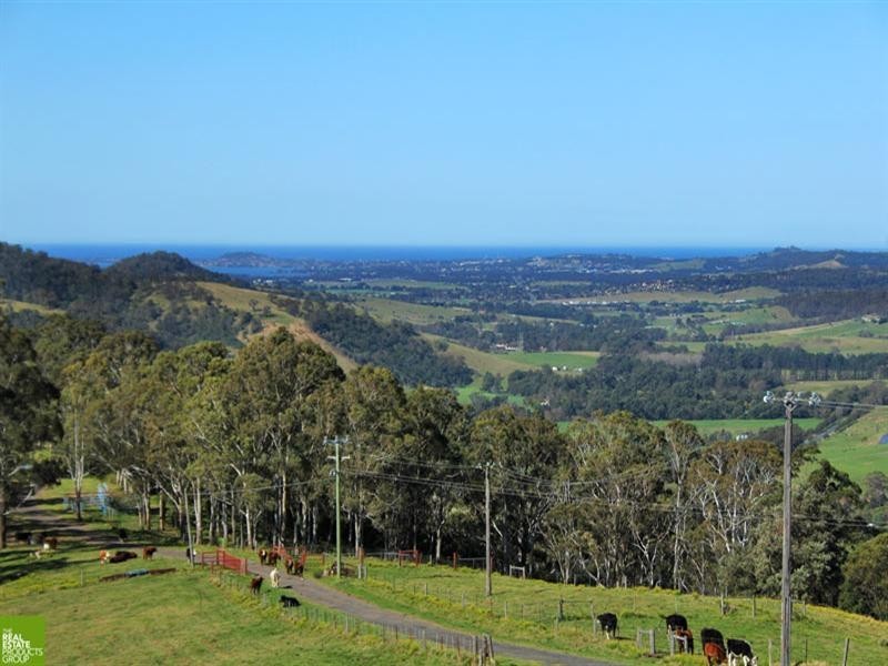 154 Tongarra Mine Road, Tongarra NSW 2527