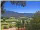 41 Noble Road, Albion Park NSW 2527