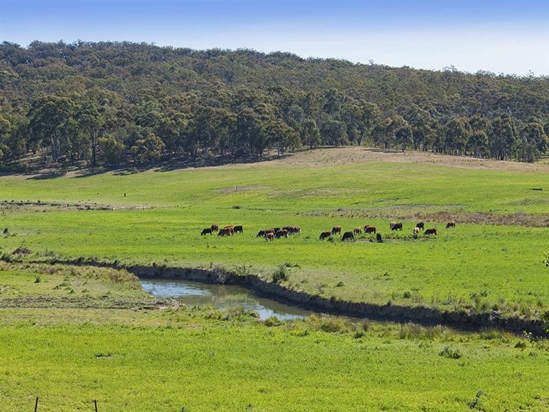 “wandi” Hume Highway, Marulan NSW 2579
