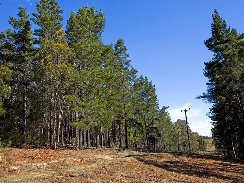 “wandi” Hume Highway, Marulan NSW 2579