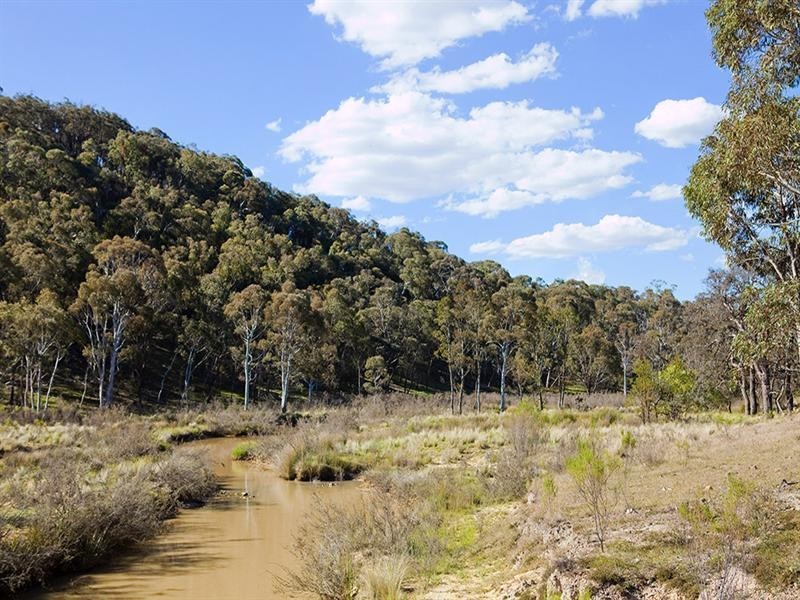“wandi” Hume Highway, Marulan NSW 2579