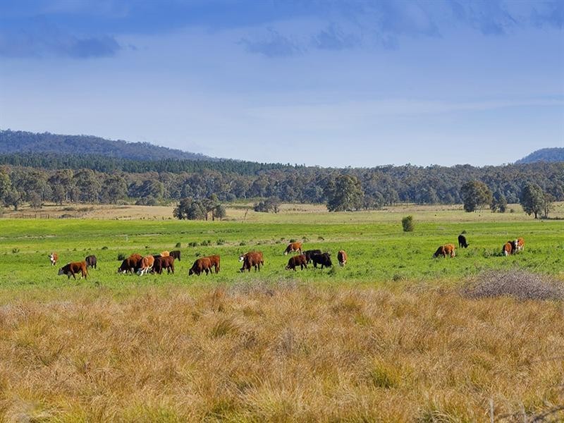 “wandi” Hume Highway, Marulan NSW 2579