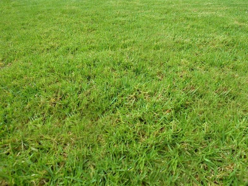 36 Sandalwood Road, Farmborough Heights NSW 2526