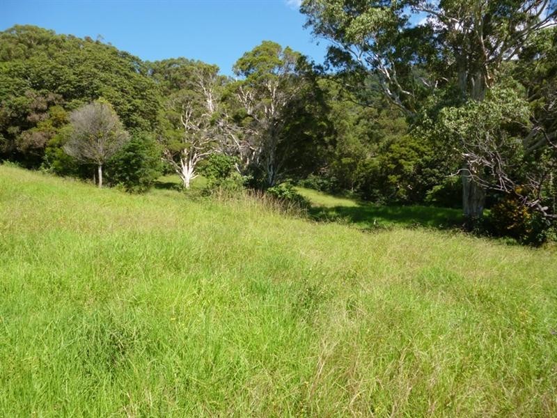 143 Daintree Drive, Albion Park NSW 2527