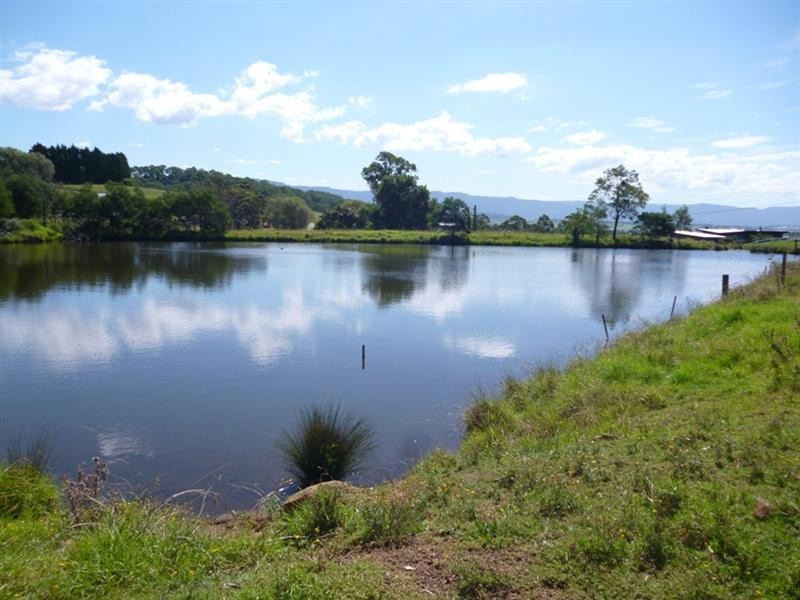 143 Daintree Drive, Albion Park NSW 2527