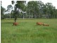 Brooloo QLD 4570